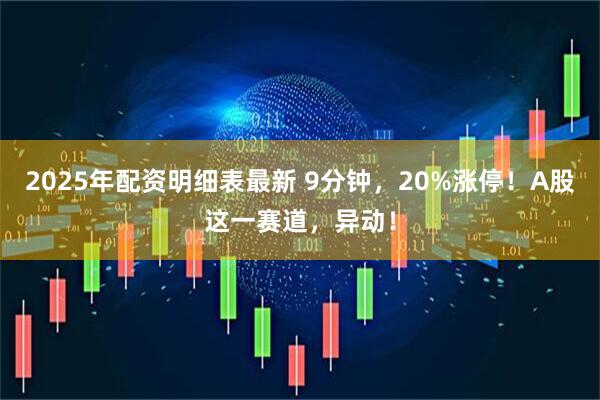 2025年配资明细表最新 9分钟，20%涨停！A股这一赛道，异动！