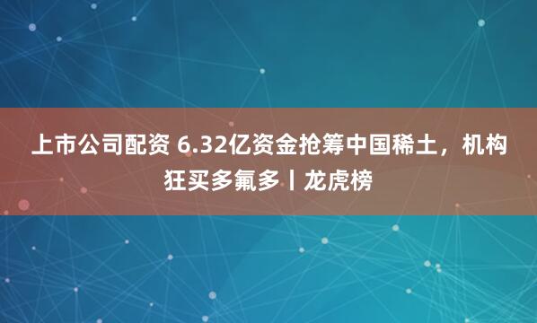 上市公司配资 6.32亿资金抢筹中国稀土，机构狂买多氟多丨龙虎榜
